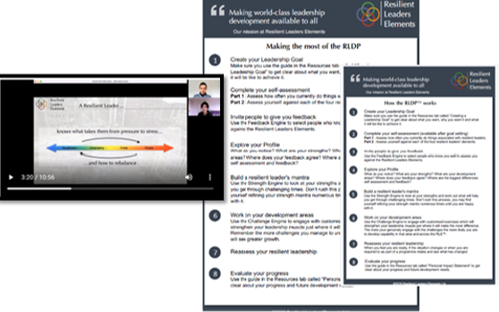 RLDP & CPD Mechanisms – Edusense Reflective Tools